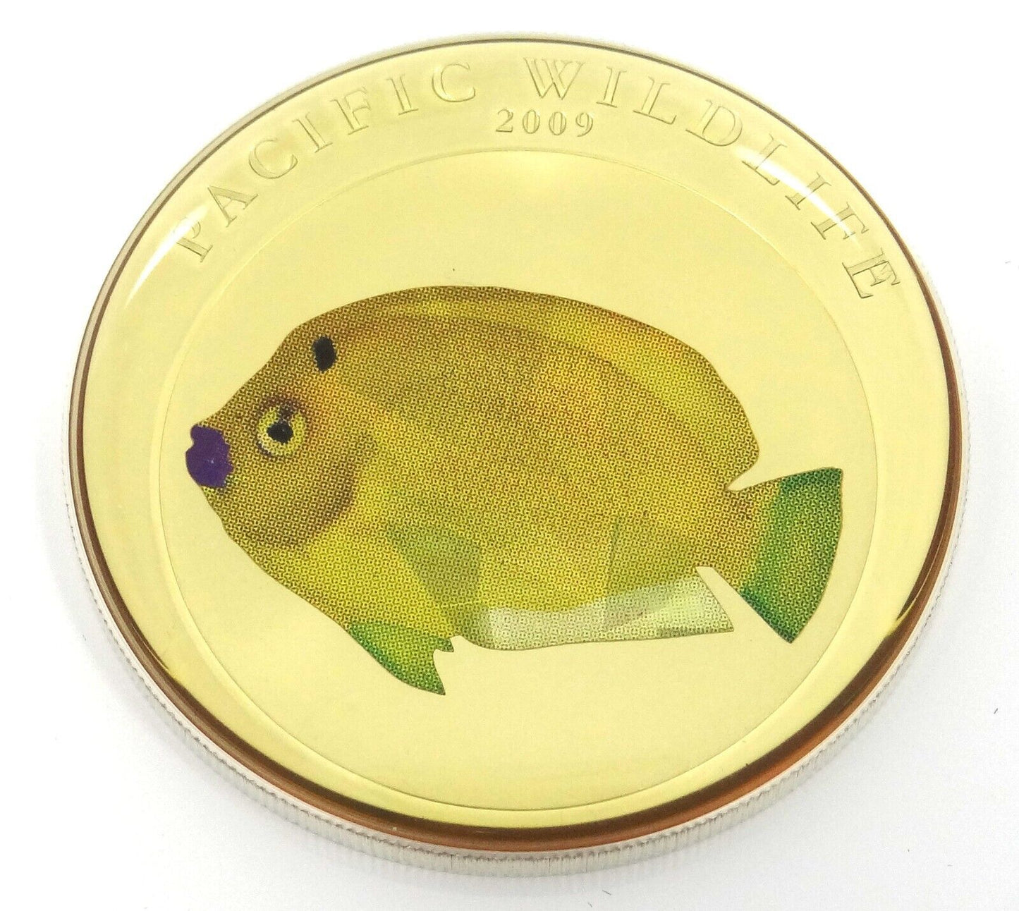 25g Silver Coin 2009 $5 Palau Pacific Wildlife Flagfin Angelfish Prism OGP